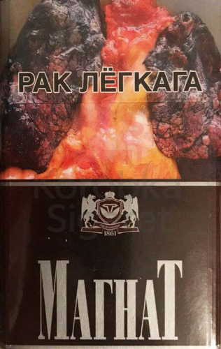 Магнат