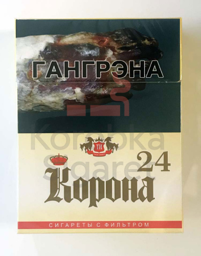 Корона 24 фото 2