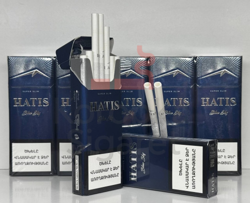 Hatis SS Blue фото 2